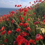 IMG_4209